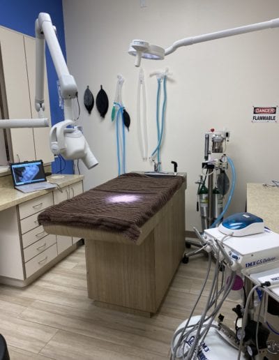 Surgery room at Quail Meadow Animal Hospital, outfitted with advanced equipment for veterinarians to perform surgical procedures with precision and care.