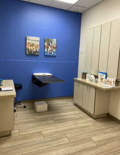 One of Quail Meadow Animal Hospital’s veterinary treatment rooms, equipped for veterinarians to provide medical care to pets from Ocala, Florida.