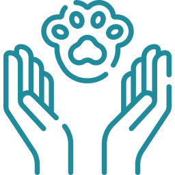 Preventive & Wellness Care icon