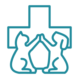 Internal Medicine & Diagnostics